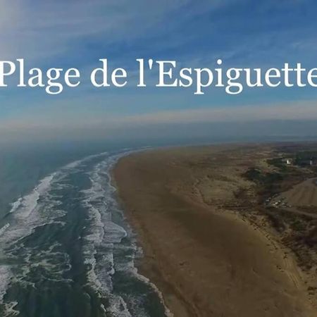 Grand Studio Au Grau-Du-Roi Proche Seaquarium Et Plage Le Grau-du-Roi Eksteriør billede